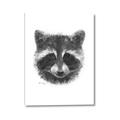 Picture of Raccoon Sketch _GroupedProduct_Rectangle_Portrait_Canvas_
