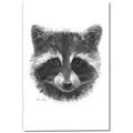 Picture of Raccoon Sketch _GroupedProduct_Rectangle_Portrait_Canvas_