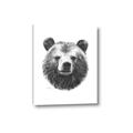 Picture of Bear Sketch _GroupedProduct_Rectangle_Portrait_Canvas_