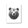 Picture of Bear Sketch _GroupedProduct_Rectangle_Portrait_Canvas_