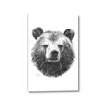 Picture of Bear Sketch _GroupedProduct_Rectangle_Portrait_Canvas_