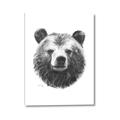 Picture of Bear Sketch _GroupedProduct_Rectangle_Portrait_Canvas_
