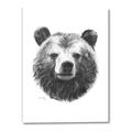 Picture of Bear Sketch _GroupedProduct_Rectangle_Portrait_Canvas_