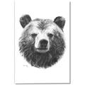 Picture of Bear Sketch _GroupedProduct_Rectangle_Portrait_Canvas_