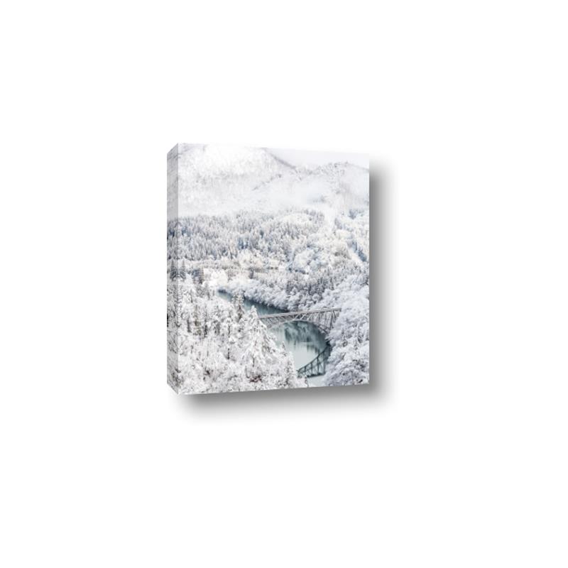 Picture of Winter snowscape _GroupedProduct_Rectangle_Portrait_Photography _GroupedProduct_Rectangle_Portrait_Canvas_