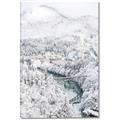 Picture of Winter snowscape _GroupedProduct_Rectangle_Portrait_Photography _GroupedProduct_Rectangle_Portrait_Canvas_