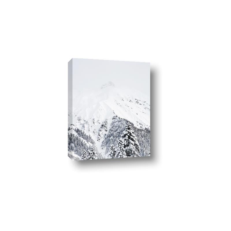 Picture of Snowy Treetops _GroupedProduct_Rectangle_Portrait_Photography _GroupedProduct_Rectangle_Portrait_Canvas_