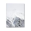 Picture of Snowy Treetops _GroupedProduct_Rectangle_Portrait_Photography _GroupedProduct_Rectangle_Portrait_Canvas_