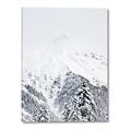 Picture of Snowy Treetops _GroupedProduct_Rectangle_Portrait_Photography _GroupedProduct_Rectangle_Portrait_Canvas_