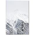 Picture of Snowy Treetops _GroupedProduct_Rectangle_Portrait_Photography _GroupedProduct_Rectangle_Portrait_Canvas_