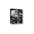 Picture of Lurking Cheetah _GroupedProduct_Rectangle_Portrait_Canvas_