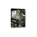 Picture of Lurking Cheetah _GroupedProduct_Rectangle_Portrait_Canvas_
