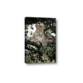 Picture of Lurking Cheetah _GroupedProduct_Rectangle_Portrait_Canvas_