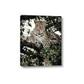 Picture of Lurking Cheetah _GroupedProduct_Rectangle_Portrait_Canvas_