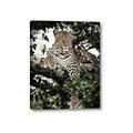 Picture of Lurking Cheetah _GroupedProduct_Rectangle_Portrait_Canvas_