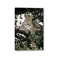 Picture of Lurking Cheetah _GroupedProduct_Rectangle_Portrait_Canvas_