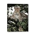 Picture of Lurking Cheetah _GroupedProduct_Rectangle_Portrait_Canvas_