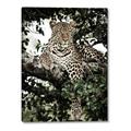 Picture of Lurking Cheetah _GroupedProduct_Rectangle_Portrait_Canvas_