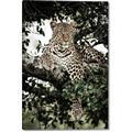 Picture of Lurking Cheetah _GroupedProduct_Rectangle_Portrait_Canvas_