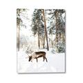 Picture of Moose in the snow _GroupedProduct_Rectangle_Portrait_Photography _GroupedProduct_Rectangle_Portrait_Canvas_