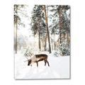 Picture of Moose in the snow _GroupedProduct_Rectangle_Portrait_Photography _GroupedProduct_Rectangle_Portrait_Canvas_