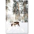Picture of Moose in the snow _GroupedProduct_Rectangle_Portrait_Photography _GroupedProduct_Rectangle_Portrait_Canvas_