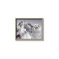 Picture of Rocky Mountain II _GroupedProduct_Rectangle_Landscape_Photography _GroupedProduct_Rectangle_Landscape_Canvas_Framed_