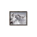 Picture of Rocky Mountain II _GroupedProduct_Rectangle_Landscape_Photography _GroupedProduct_Rectangle_Landscape_Canvas_Framed_