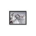 Picture of Rocky Mountain II _GroupedProduct_Rectangle_Landscape_Photography _GroupedProduct_Rectangle_Landscape_Canvas_Framed_
