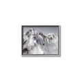 Picture of Rocky Mountain II _GroupedProduct_Rectangle_Landscape_Photography _GroupedProduct_Rectangle_Landscape_Canvas_Framed_
