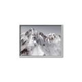 Picture of Rocky Mountain II _GroupedProduct_Rectangle_Landscape_Photography _GroupedProduct_Rectangle_Landscape_Canvas_Framed_
