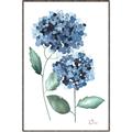 Picture of Blue Hydrangeas I _GroupedProduct_Rectangle_Portrait_Canvas_Framed_
