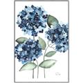 Picture of Blue Hydrangeas II _GroupedProduct_Rectangle_Portrait_Canvas_Framed_