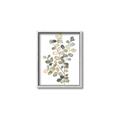 Picture of Soft Spoken I _GroupedProduct_Rectangle_Portrait_Canvas_Framed_