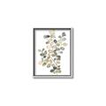 Picture of Soft Spoken I _GroupedProduct_Rectangle_Portrait_Canvas_Framed_