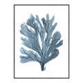 Picture of Blue Tree II _GroupedProduct_Rectangle_Portrait_Canvas_Framed_