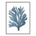 Picture of Blue Tree II _GroupedProduct_Rectangle_Portrait_Canvas_Framed_
