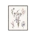 Picture of Wall flowers I _GroupedProduct_Rectangle_Portrait_Canvas_Framed_