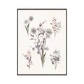 Picture of Wall flowers I _GroupedProduct_Rectangle_Portrait_Canvas_Framed_