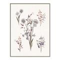 Picture of Wall flowers I _GroupedProduct_Rectangle_Portrait_Canvas_Framed_