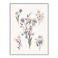 Picture of Wall flowers I _GroupedProduct_Rectangle_Portrait_Canvas_Framed_