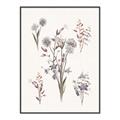 Picture of Wall flowers I _GroupedProduct_Rectangle_Portrait_Canvas_Framed_