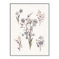 Picture of Wall flowers I _GroupedProduct_Rectangle_Portrait_Canvas_Framed_