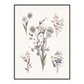 Picture of Wall flowers I _GroupedProduct_Rectangle_Portrait_Canvas_Framed_