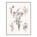 Picture of Wall flowers I _GroupedProduct_Rectangle_Portrait_Canvas_Framed_