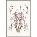 Picture of Wall flowers II _GroupedProduct_Rectangle_Portrait_Canvas_Framed_