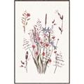 Picture of Wall flowers II _GroupedProduct_Rectangle_Portrait_Canvas_Framed_