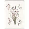 Picture of Wall flowers IV _GroupedProduct_Rectangle_Portrait_Canvas_Framed_