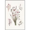Picture of Wall flowers IV _GroupedProduct_Rectangle_Portrait_Canvas_Framed_