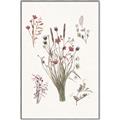 Picture of Wall flowers IV _GroupedProduct_Rectangle_Portrait_Canvas_Framed_